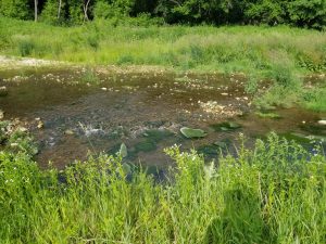 Lonesome Dove Driftless Wisconsin Lodging Hunting Fishing Wedding Event (25)